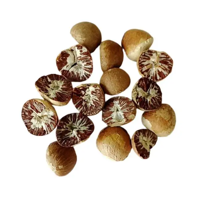 Хорошее качество, Сушеные Орехи Бетеля, природный продукт из источника, Южный Таиланд, много минералов и пользы