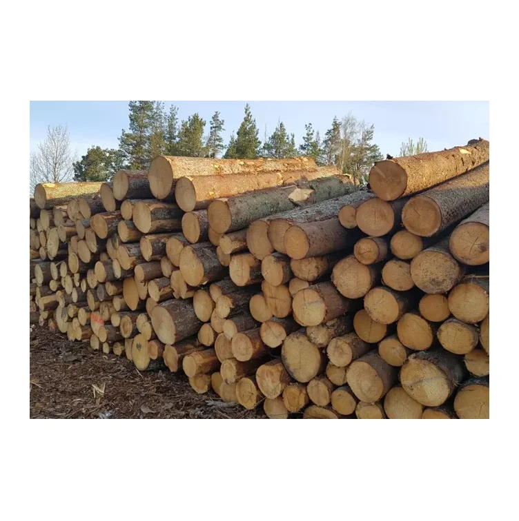 Kiln-Dried Seasoned Spruce Oak Pine Teak Walnut Round Logs-Diverse Hardwood Timber for Furniture Including Eucalyptus Wood