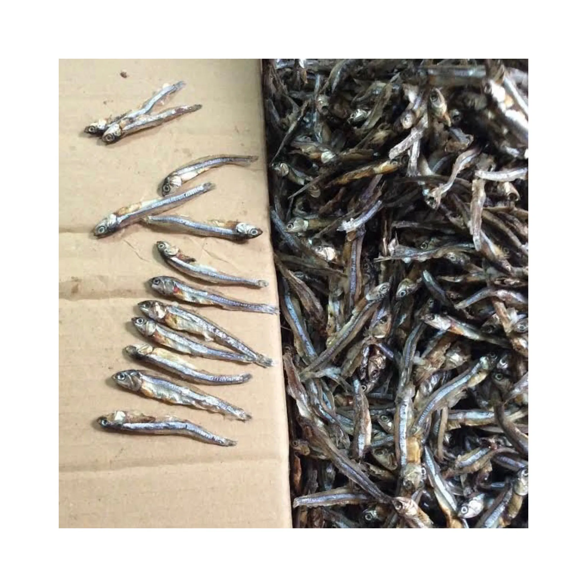 Small Size Fresh 100% Seafood Delicious Wholesale New Dried Shredded Gray Anchovy Fish From Vietnam Elysia 0084789310321