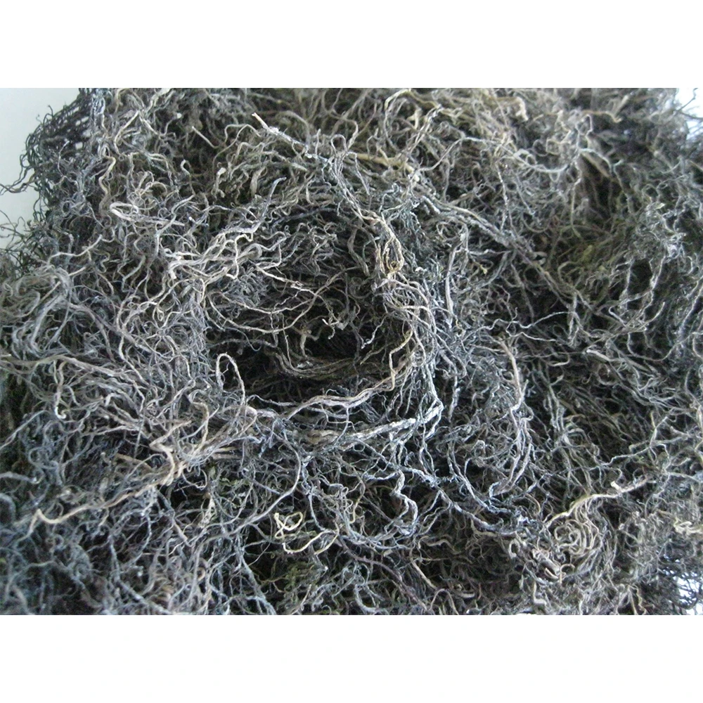 Wholesale Dried Gracilaria Seaweed - High Export Standard With Competitive Price Made In Vietnam