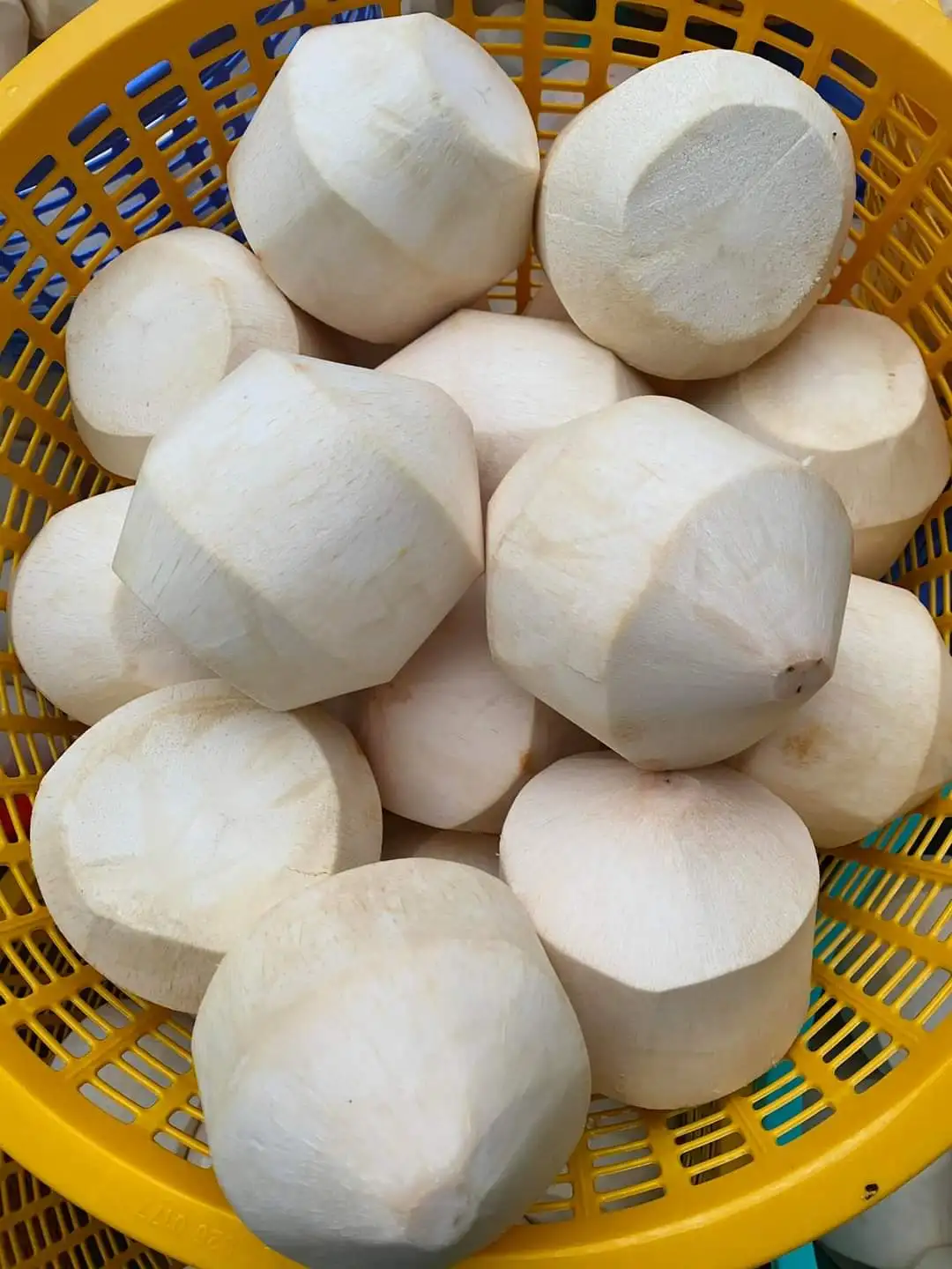 Молодой кокос в форме алмаза, свежий кокос, высокое качество из Вьетнама