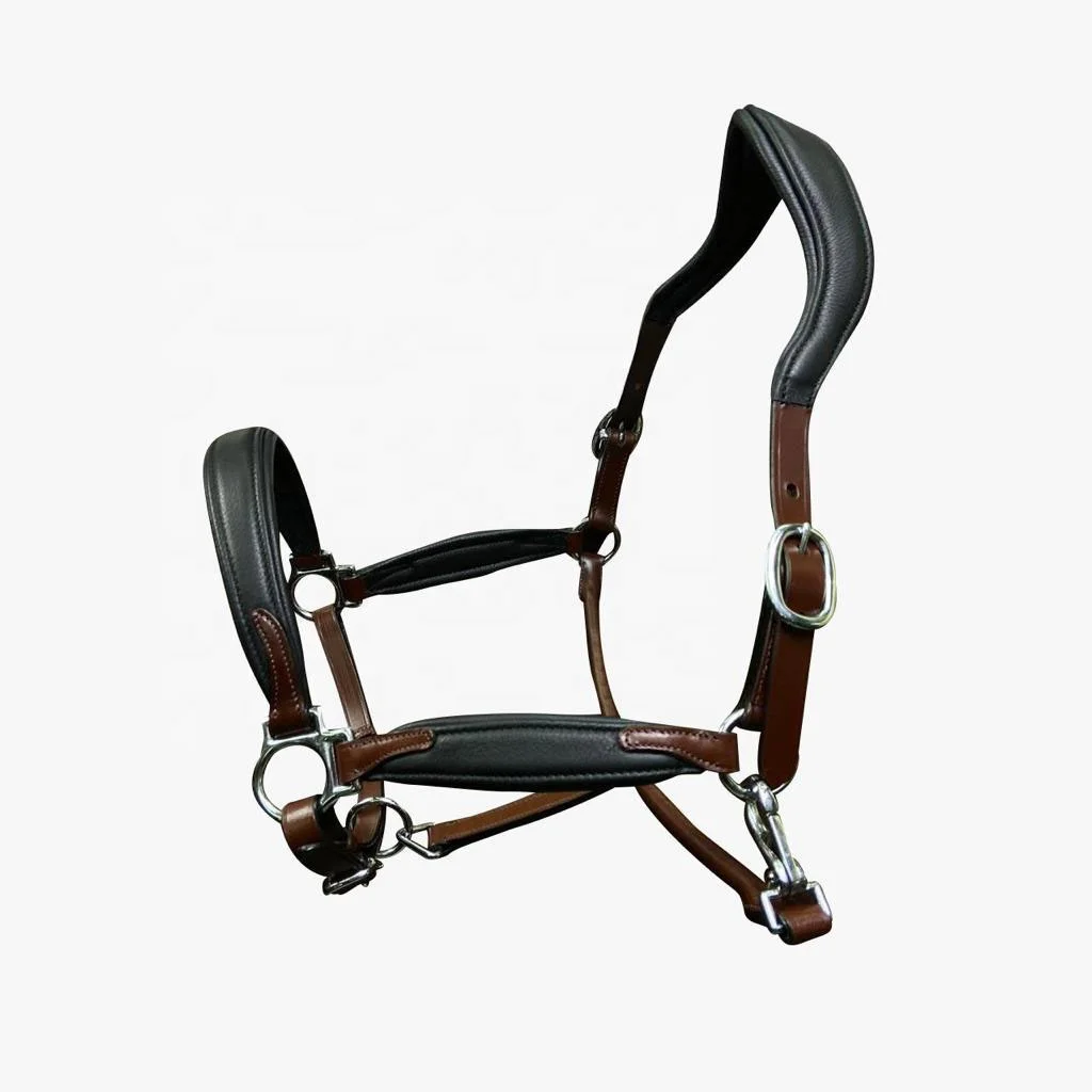 HORSE LEATHER ANATOMICAL HEADCOLLAR HALTER SOFTY PADDED EQUESTRIAN STABLE EQUIPMENT MULTI DESIGNS CUSTOM MANUFACTURER