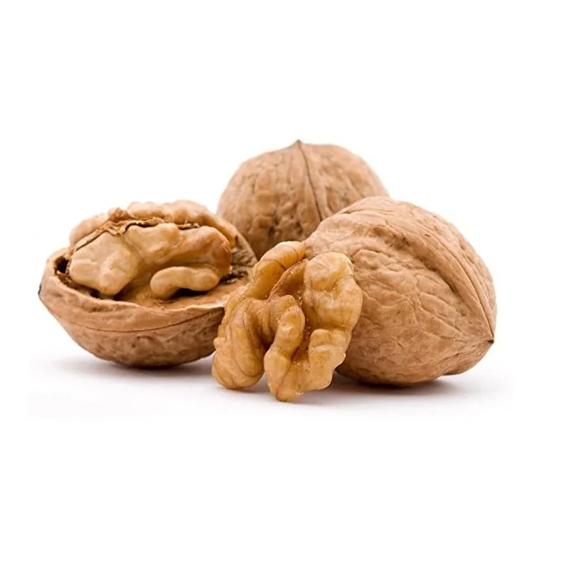Peeled Kernel Walnuts High Quality Walnut Kernel Brazil Supplier Low Price Light Halves Walnut Kernels