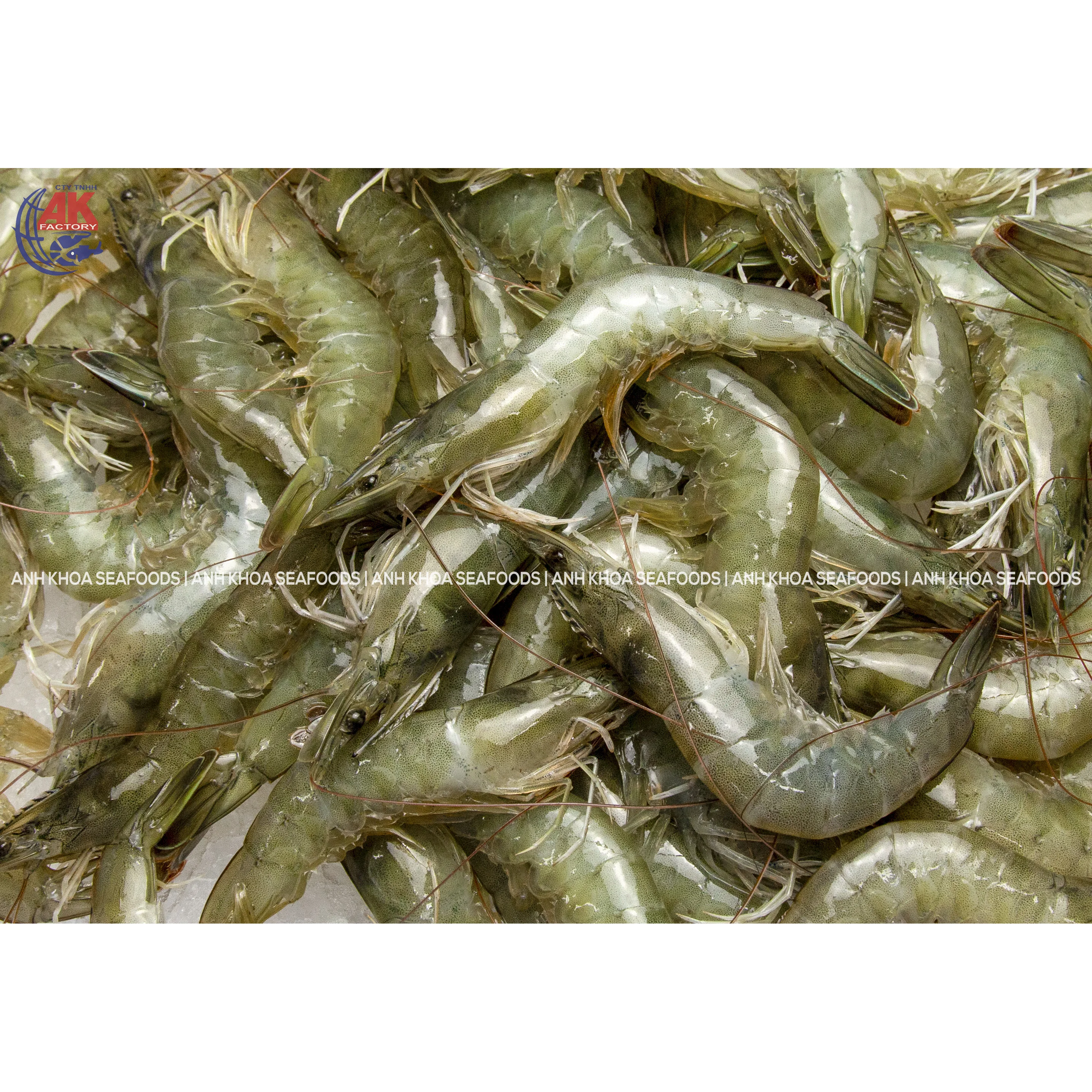 OEM Seafood Supply Fresh Vannamei Shrimp Head On Shell On W/HOSO Custom Weight Request Wholesale Origin From Vietnam
