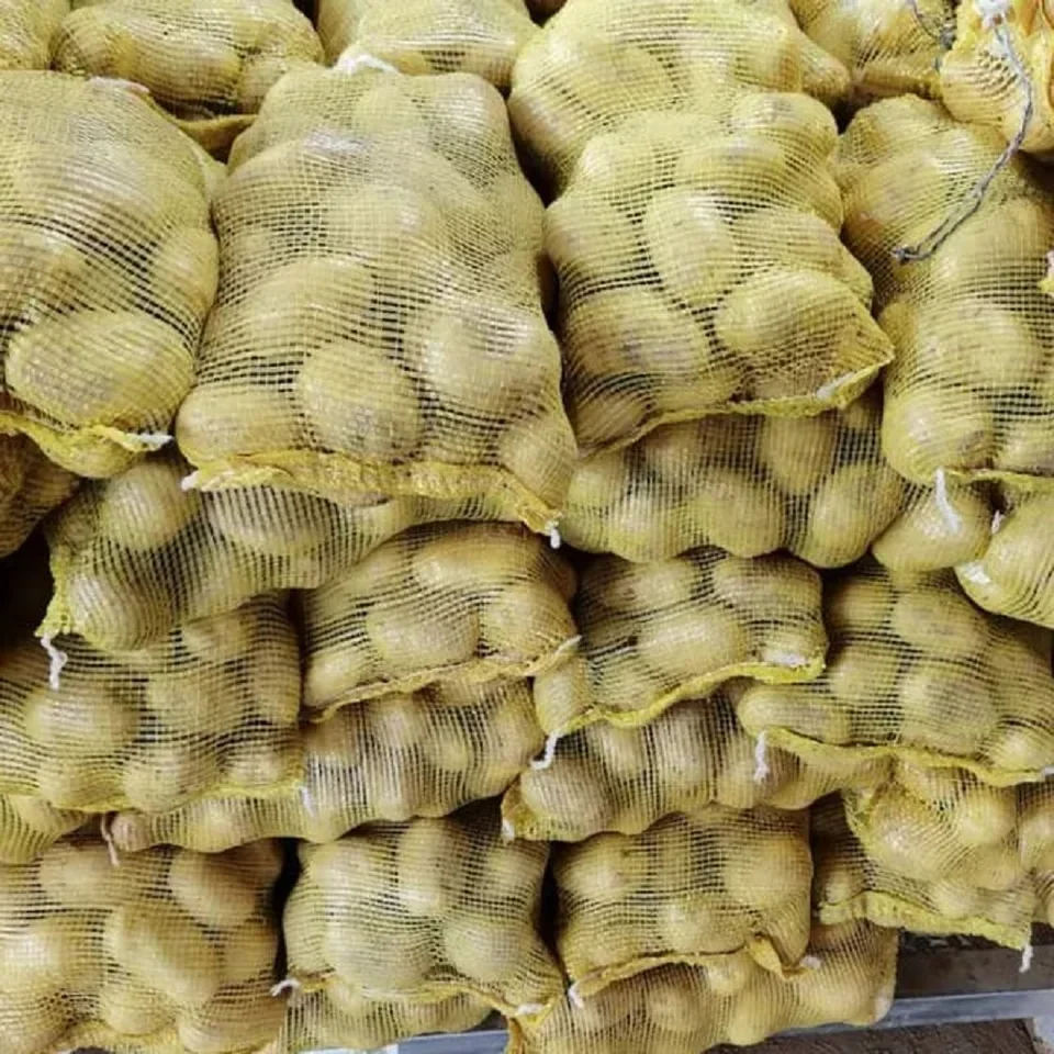 Fresh Potatoes from Bangladesh High Quality 100 Custom Style Weight Origin Type Shape Size Product Place Model OVAL