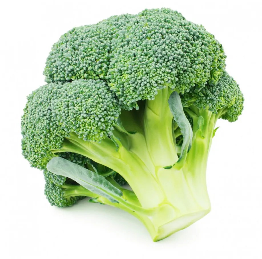 Best Price And Service Wholesale Bulk IQF Frozen Vegetable Broccoli