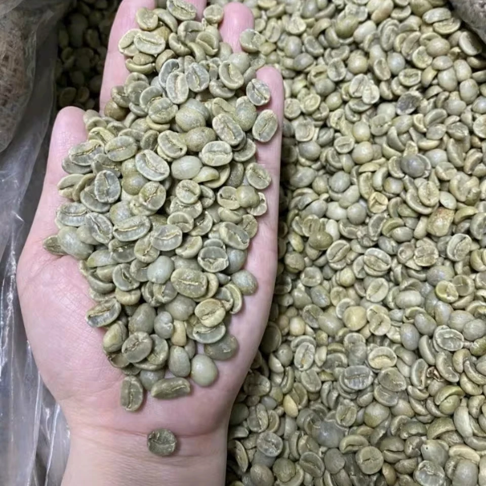 Arabica coffee bean specialty . +84 976727907 (Tel or WA) Ms Carolina