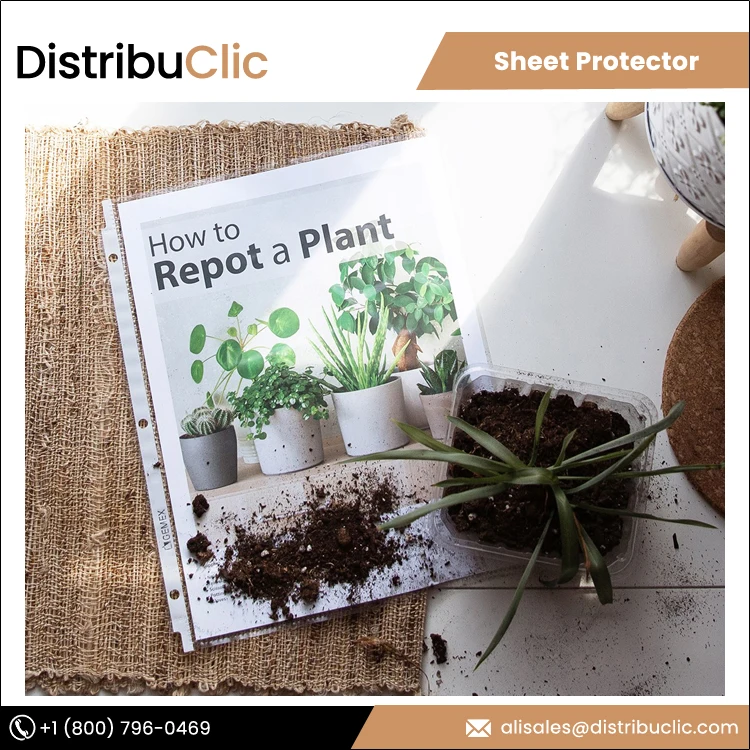 Stationery and Office Use Waterproof Acid Free Non Glare Standard Weight Letter Size Sheet Protector for Bulk Supply