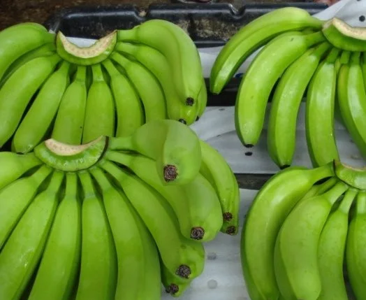 BANANA2.jpg