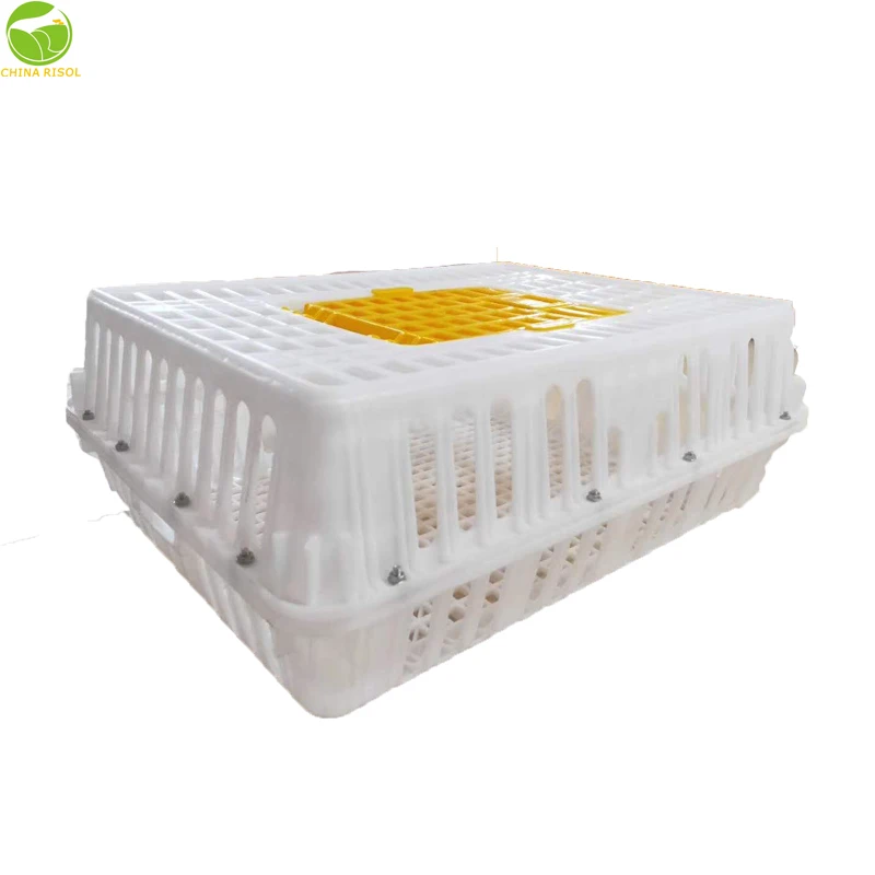 High quality poultry or chicken plastic transport cage