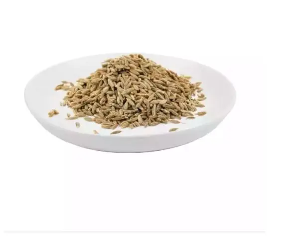 Top class Singapore Europe quality 99% cumin seed price from India