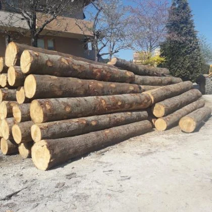 Wholesale Custom Teak Wood Logs Woods Massive Forest Pine And Red Cherry Teak Wood Logs