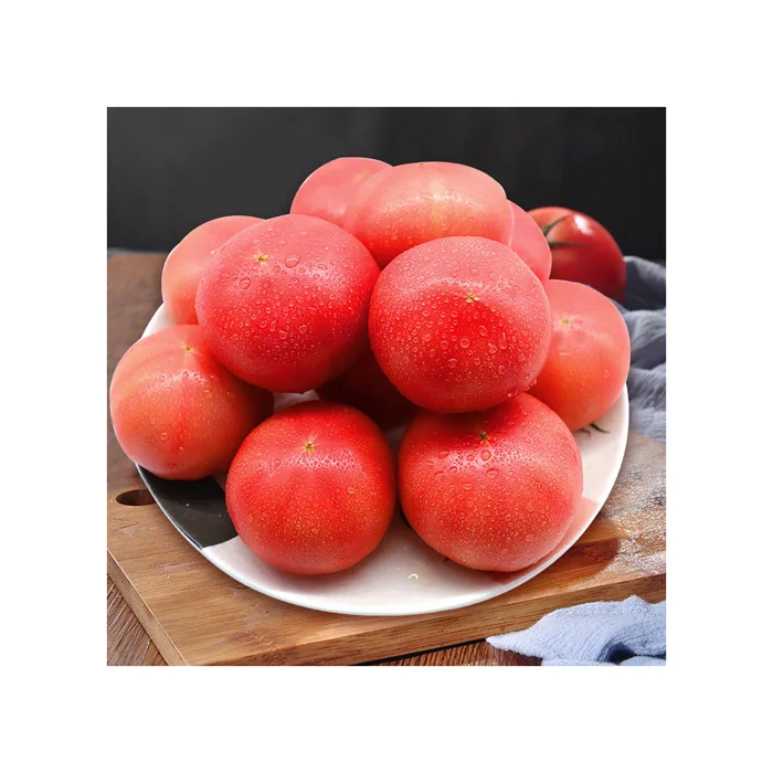 Fresh tomatoes for sale own production farm natural product in bulk