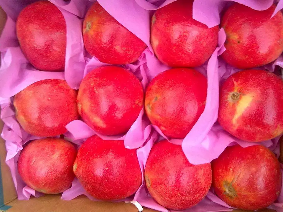 fresh pomegranate