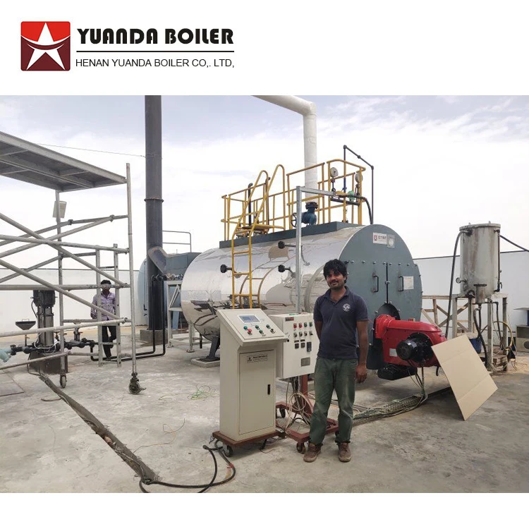 5ton/h Natural Gas Boiler for Noodle Processing Industry Factory