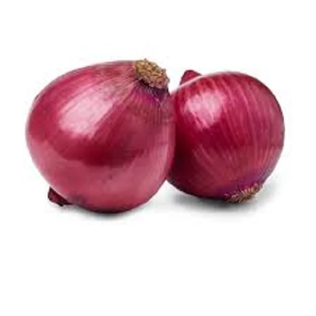 High Quality Best Selling Fresh Onions for Bulk Sale