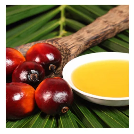 Cheap Wholesale Top Quality RBD Palm Olein - Crude Palm Oil 100% Refined Oil In Bulk