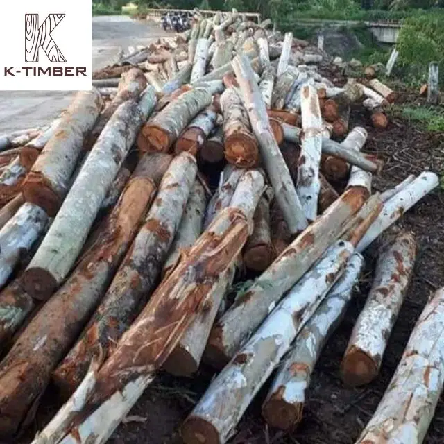 Eucalyptus Square Log From Africa Supplier Hardwood Floor Raw Materials Lumber Log Wooden Pallet Wood Boards Panel Timber