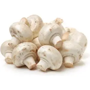 Fresh Mushroom from South Africa Market  in competitive price for bulk quantity upto 10 ton