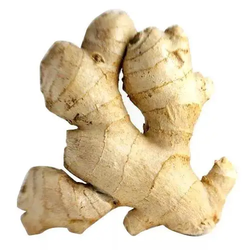 High Quality Fresh Ginger Market Price Per Ton Wholesale Ginger Buyers for Export in China Ginger Yellow Top Chinese
