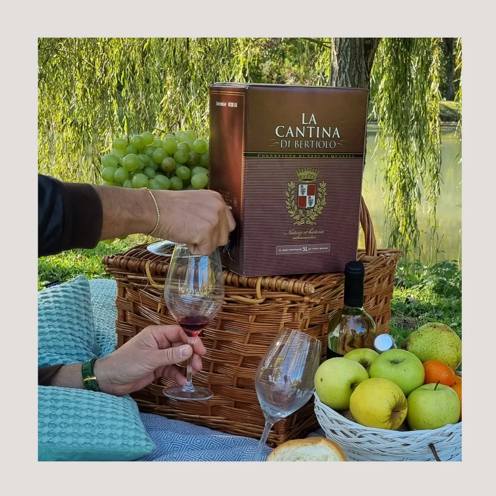Cabernet французский итальянское красное вино в упаковке 5 литров экологически чистых долговечных простых использовании напитков для использования на открытом
