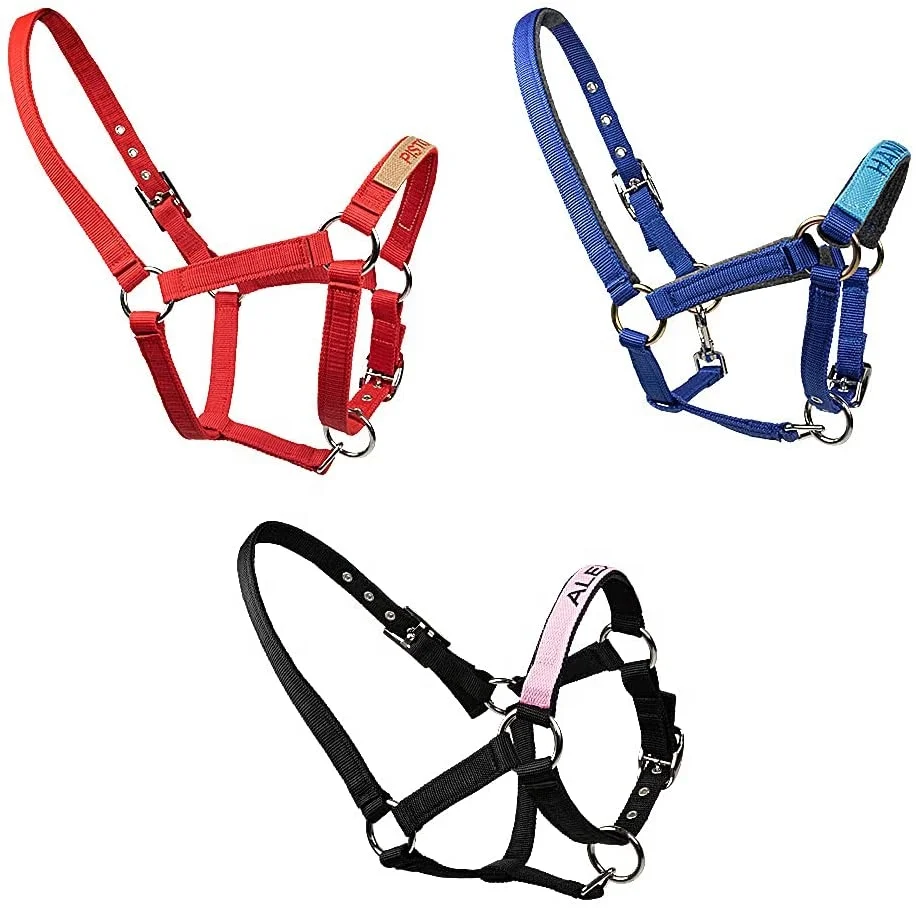 High Quality Nylon Halter Braided Horse Lead Rope Leather End Fastening Lead Rope For Sale