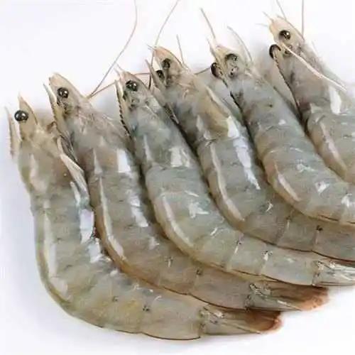 frozen Vannamei Shrimps/Frozen Fresh Shrimp Seafood Vannamei shrimp Headless Shell