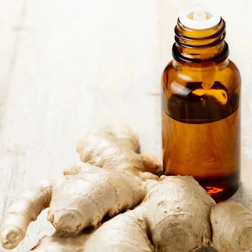 Hot Selling Natural Product Premium Quality Ginger Oil OEM Private Label Ginger Spice Oil at Bulk Quantity for World Wide Export