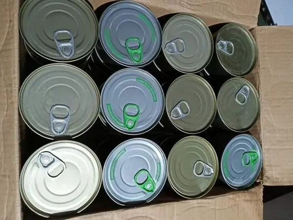 Canned Tuna in Oil For Sale