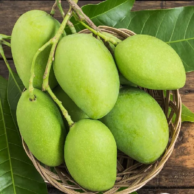 HIGH QUALITY FRESH MANGO FROM PAKISTAN DELICIOUS TASTE INDIAN MANGOES  EXPORT FRESH ALPHONSO MANGOES
