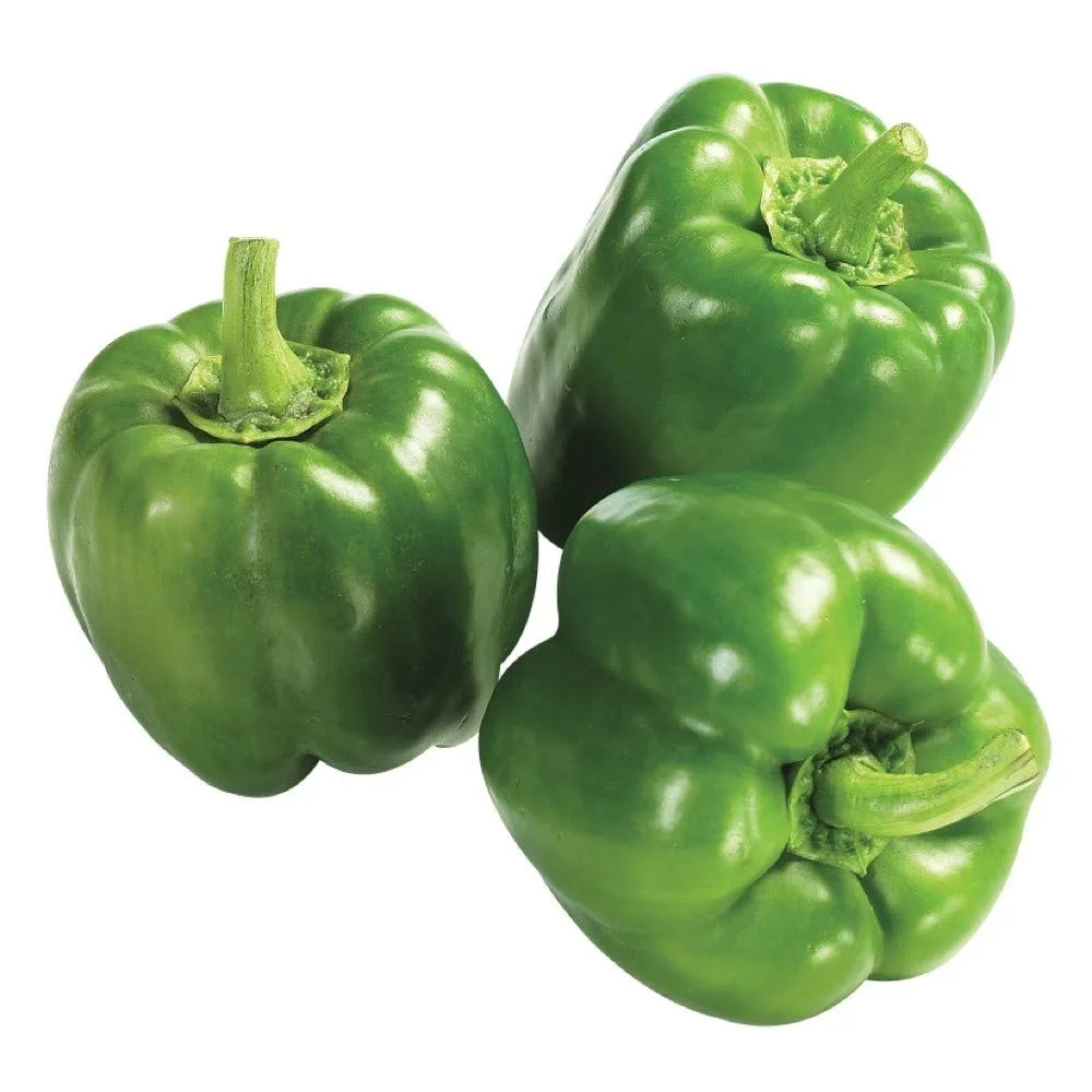 fresh Capsicum, fresh pepper, fresh bell pepper Natural Capsicums Tropical & Sub-Tropical Fruit Packed In Box Manufacturer
