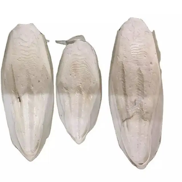 Международным стандартам качества Cuttlebone материал