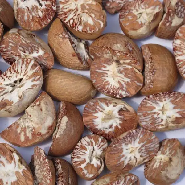 Freshly imported Betel nuts / Betel areca nut wholesale