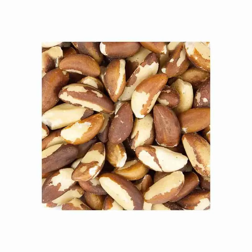 Brazilian nuts for sale