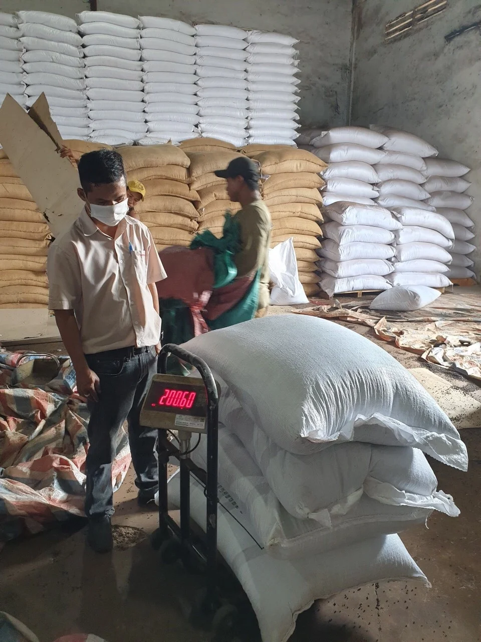 New Season High Quality Black Pepper Peppercorn Hot Spices From Vienam Farm