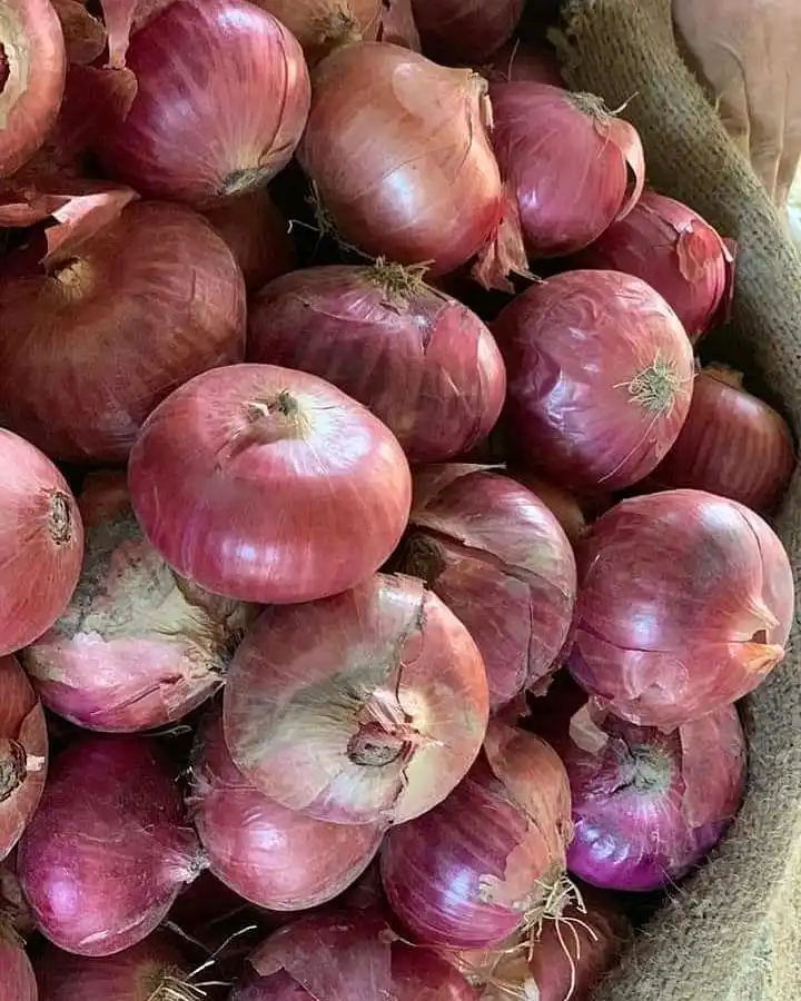 onions  (11).jpg