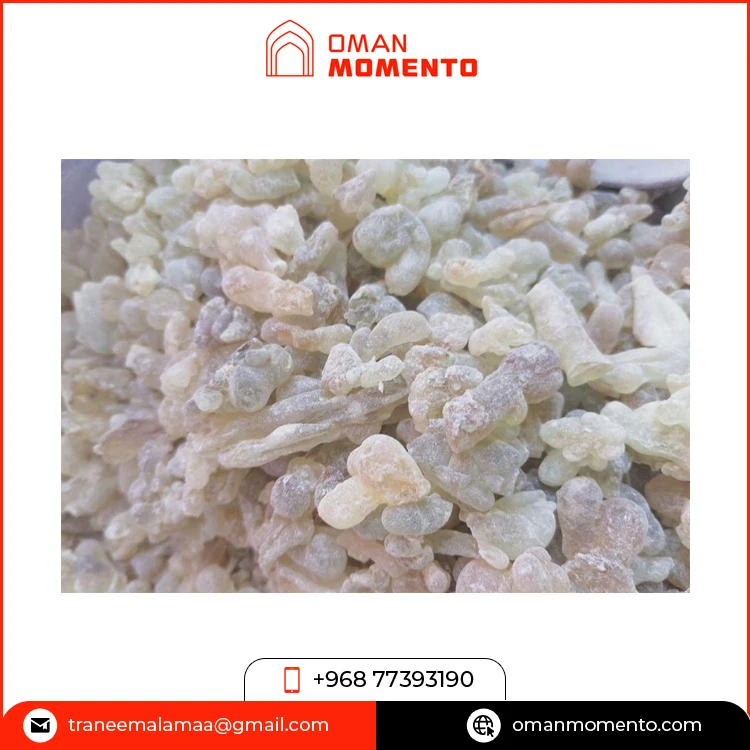 Superb Quality Highest Selling Exotic Religious Aromatic Use Best House Fragrance Oman Loban / Frankincense Resin for Dhoop