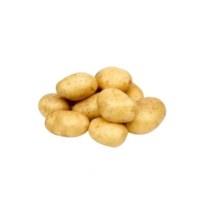 Fresh Potato Bangladeshi Agriculture Wholesale Price100% Organic Fresh Nature Potato Export Oriented From Bangladesh