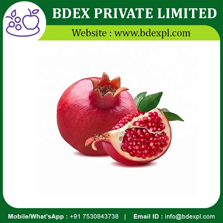 Premium Quality Fresh Pomegranate Fruits Available At Indian Best Supplier
