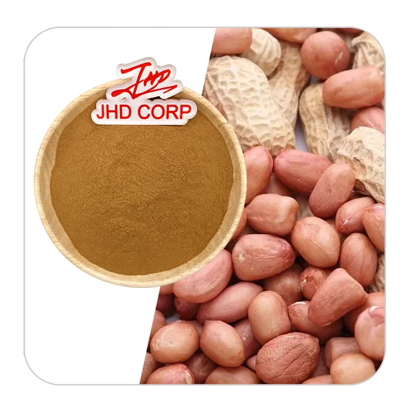 Factory Bulk 10:1 Natural Peanut Skin Extract Powder