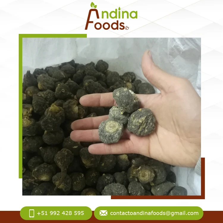 Factory Direct Private Label High Quality 100% Natural Best Product Peruvian Maca Powder Available at Wholesale Price