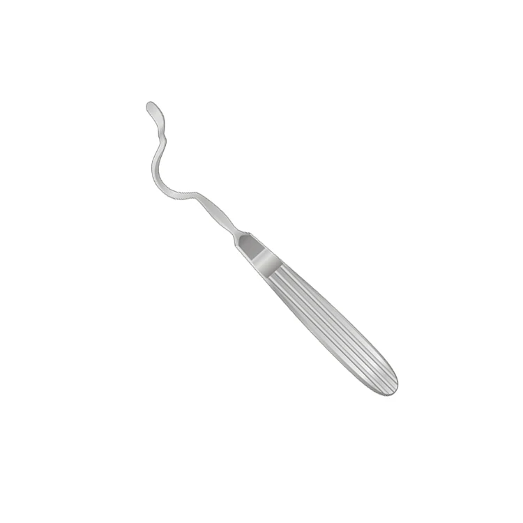 Latest Quality Surgical Equipment Instruments Autoclave Full Medical Stainless Steel Head Curved Raspatories Orbital Elevators