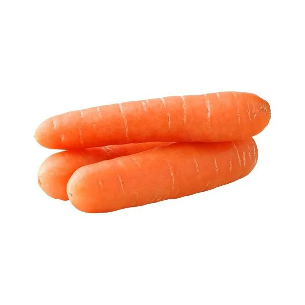 Excellent and Super Fresh Carrot  Fresh Vegetables Common Cultivation Export quality orange Natural sweet Fresh Carrot