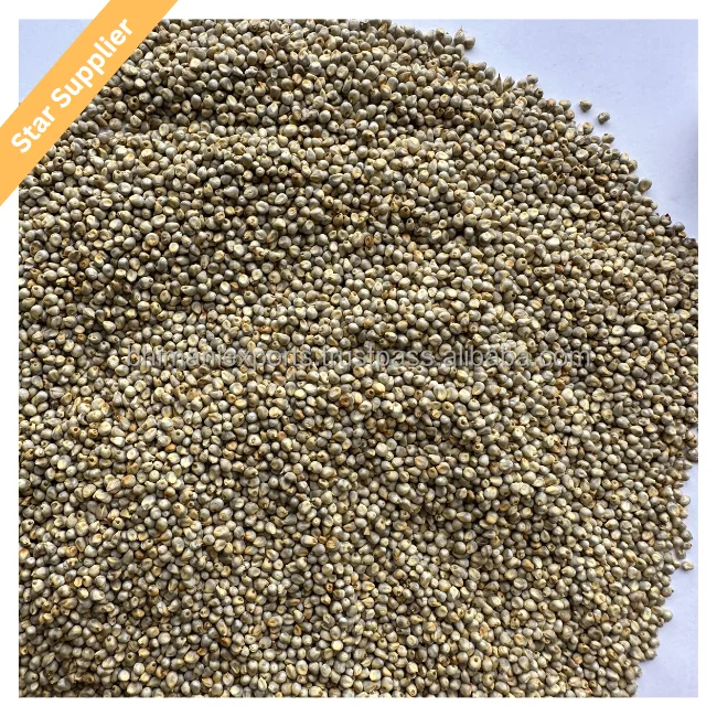 Bhimani Exports Indian Origin Millet / Bajra For Animal Feed