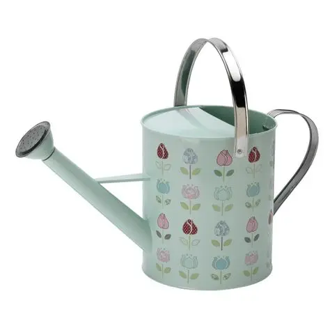 Modern design printed butterfly custom  Watering cane for use Home hotel & Garden water pot decorative customized size and color