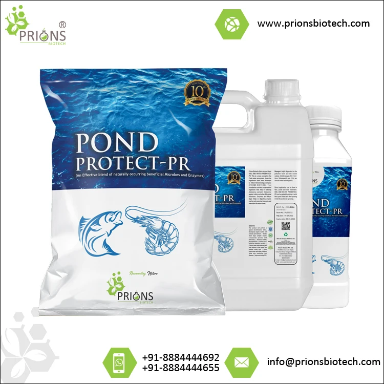 Wholesale Quantity Supplier of Pond Water Protect Enriching Soil & Water Quality Aquaculture Probiotics Pond Protect-PR