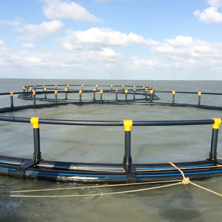Fish Cage Aquaculture Farming Hdpe Fish Farming Cage Floating For Pisciculture Agricultural Equipment Fish Farm made in Viet Nam