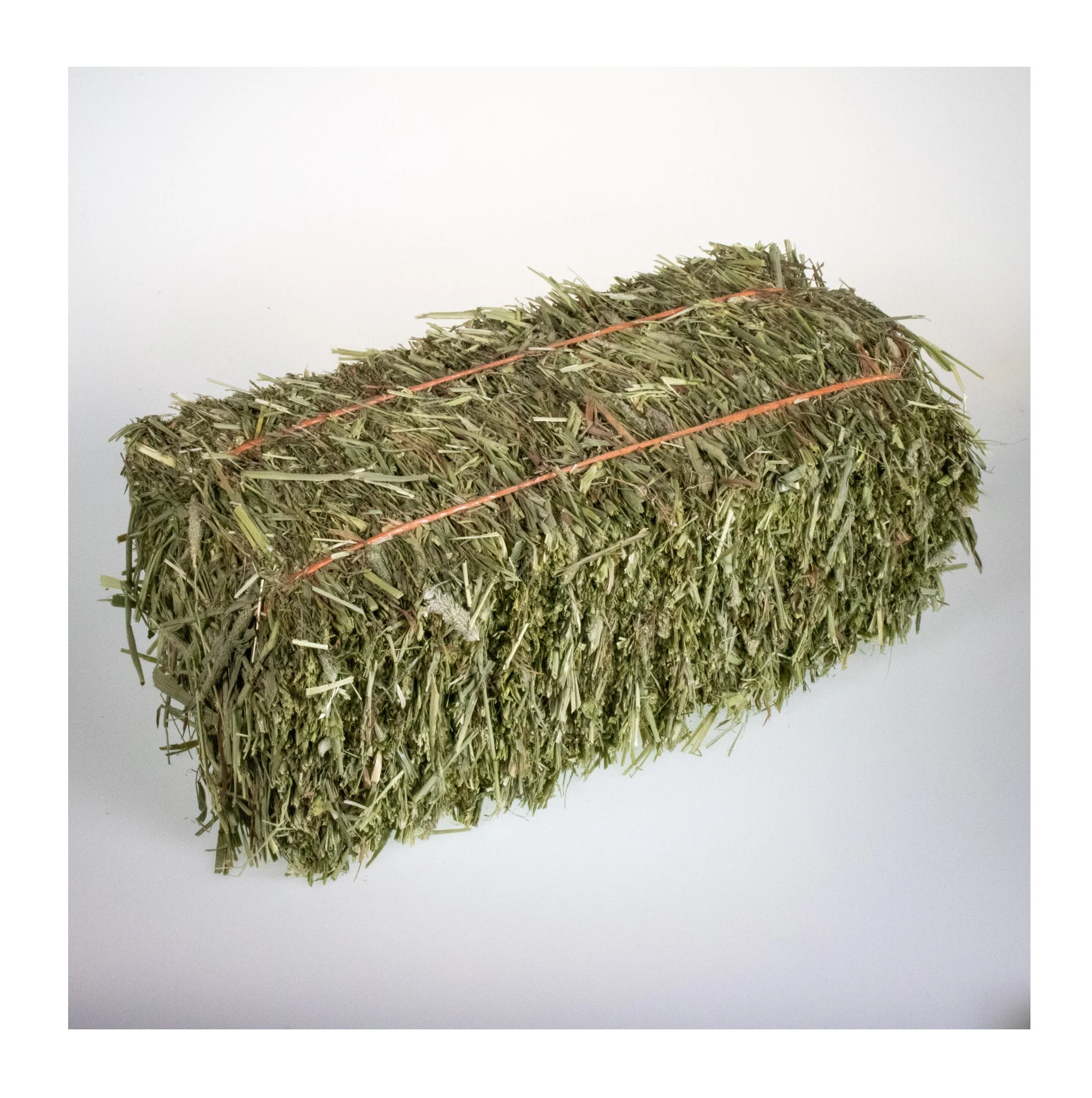 Quality Timothy Hay Quality Alfalfa Hay/ Timothy Hay/ Lucerne Clover in Bales