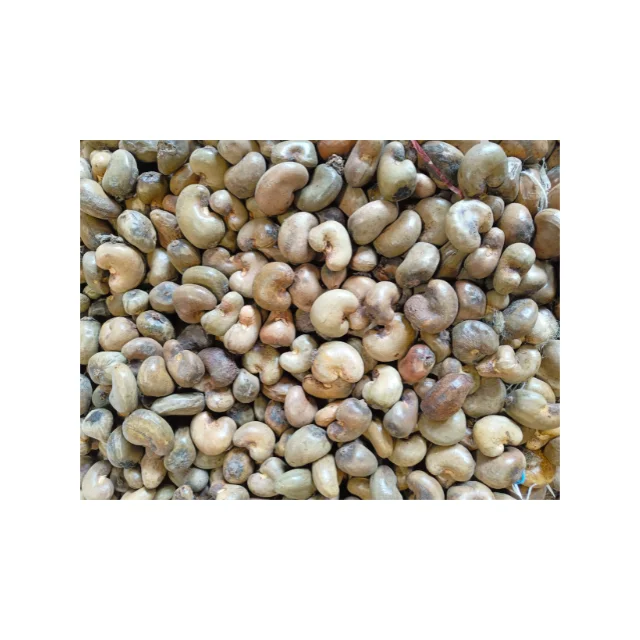 Лидер продаж сырые орехи кешью из StarLab собранные прямо в саду по хорошей цене