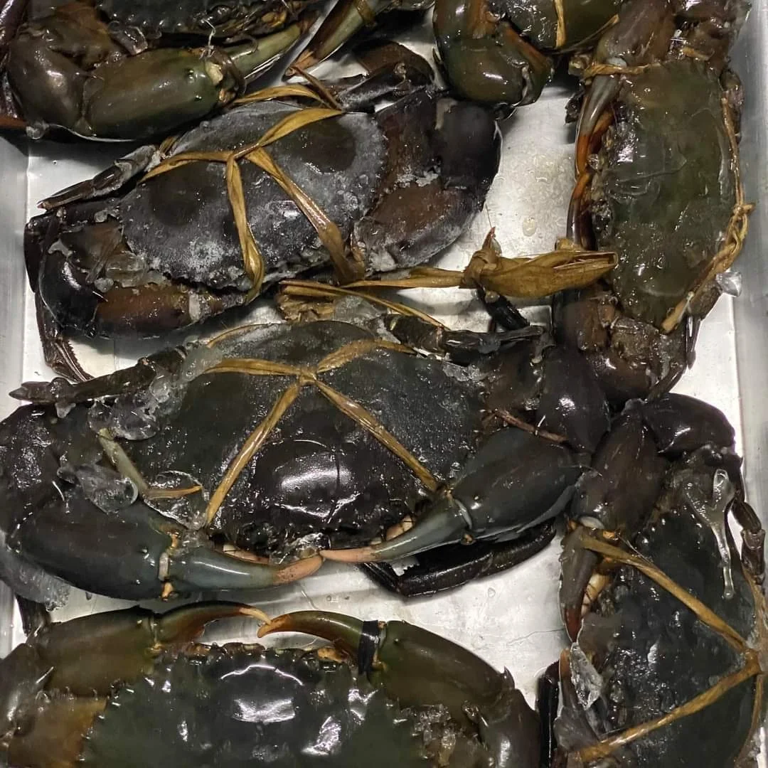 legs king style crab packaging weight shelf muscle snow crab claws wild live mud crab for sale